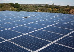 Solar energy farms halted amid flying glass concerns